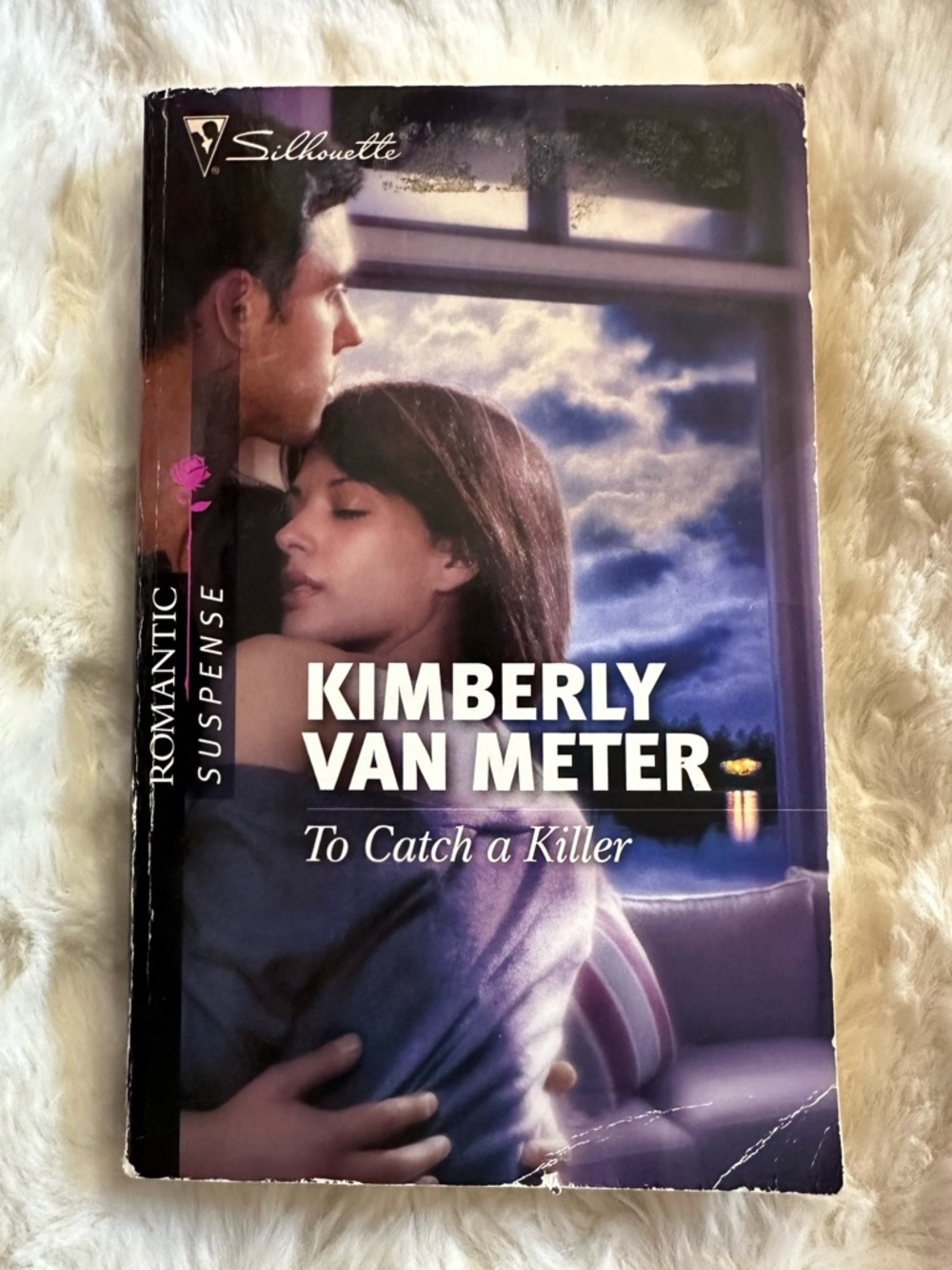 Kimberly Van Meter To Catch a Killer - Purple and Blue Cover